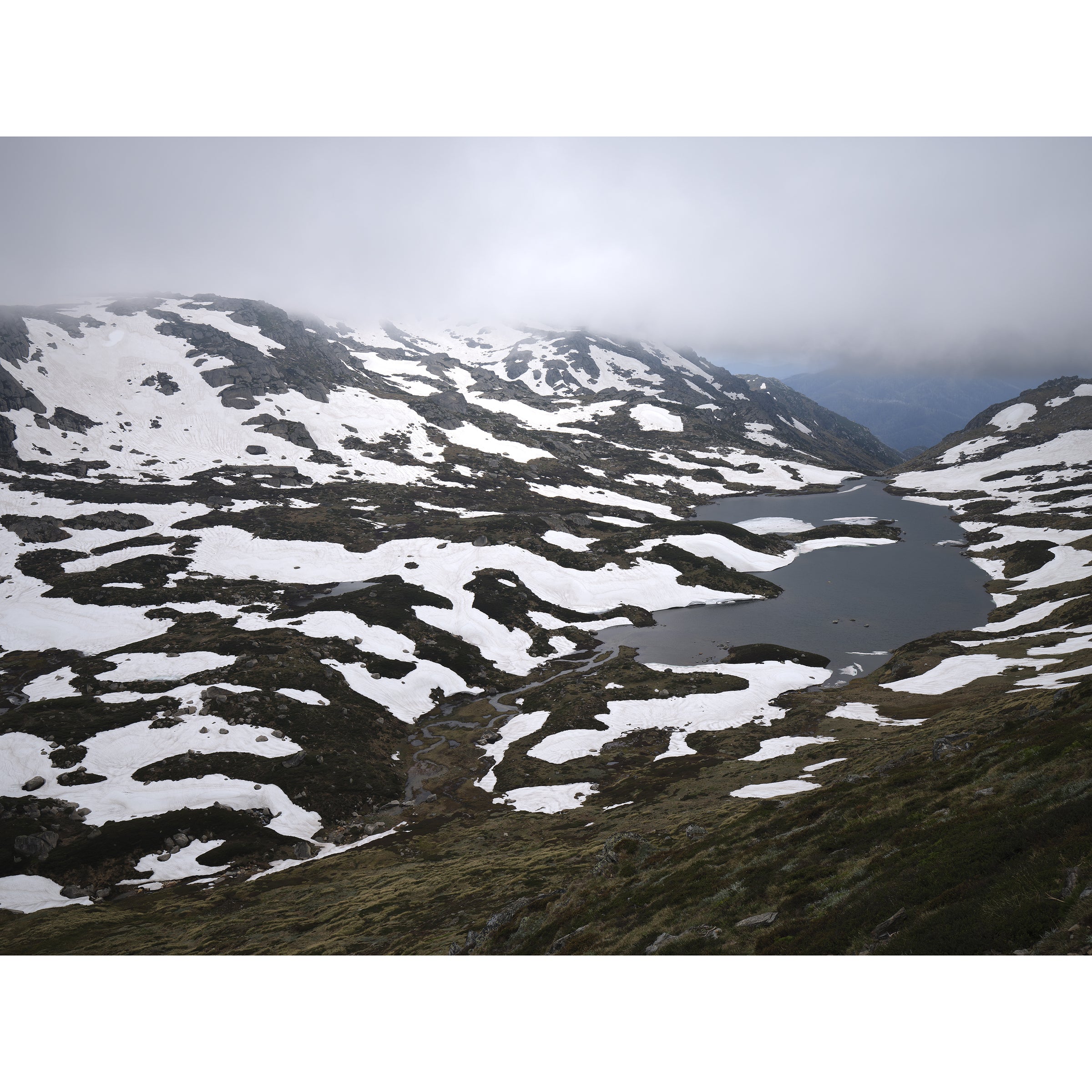 Temperate, Kosciuszko National Park