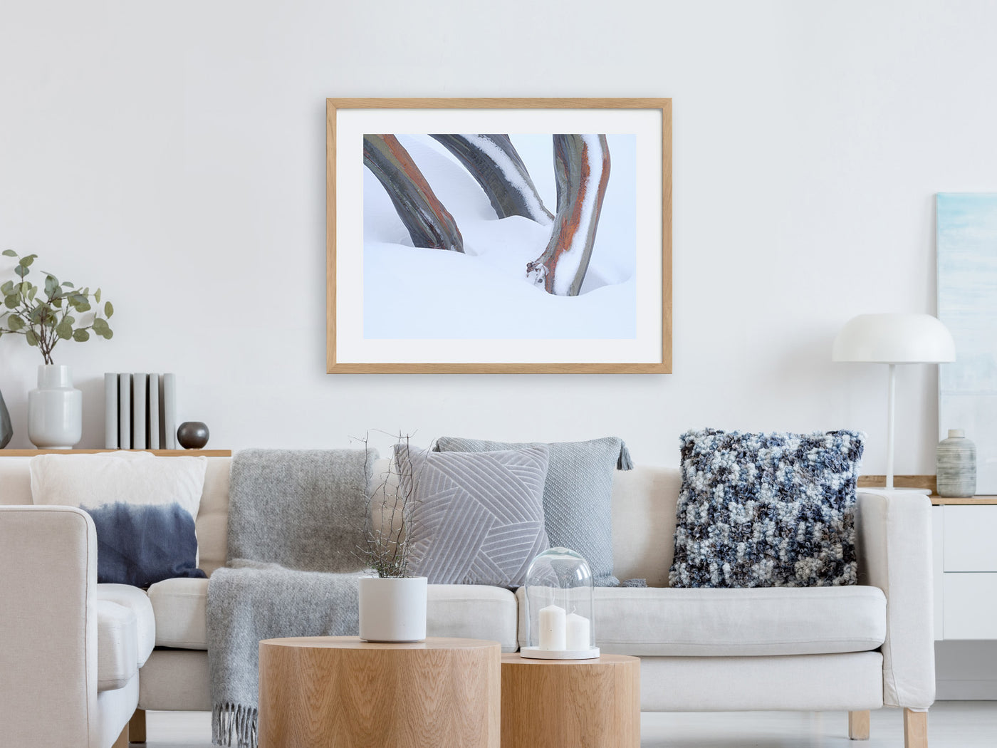 Snow Gum Triplet, Kosciuszko National Park. Wall Art
