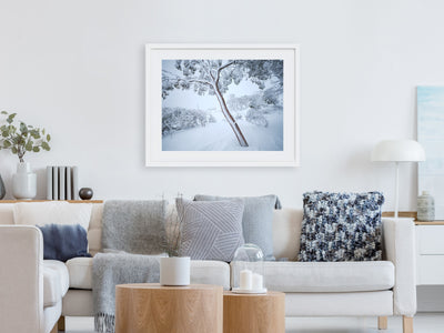 Fortitude Snow Gum, Kosciuszko National Park. Wall Art