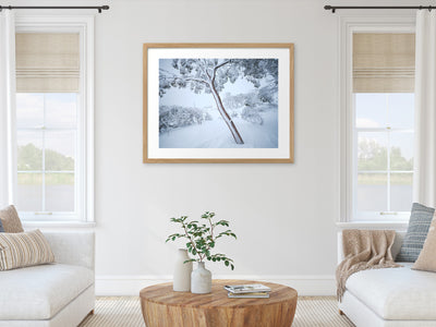 Fortitude Snow Gum, Kosciuszko National Park. Wall Art