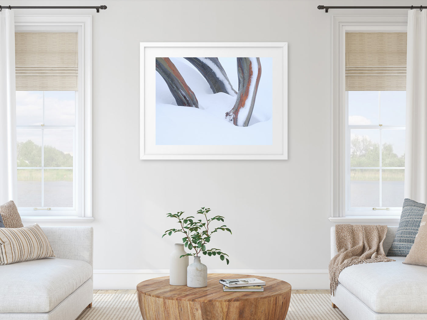 Snow Gum Triplet, Kosciuszko National Park. Wall Art