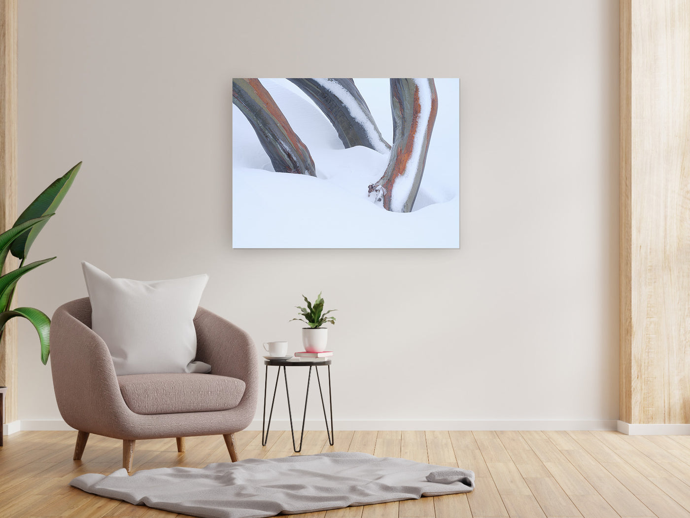Snow Gum Triplet, Kosciuszko National Park. Wall Art
