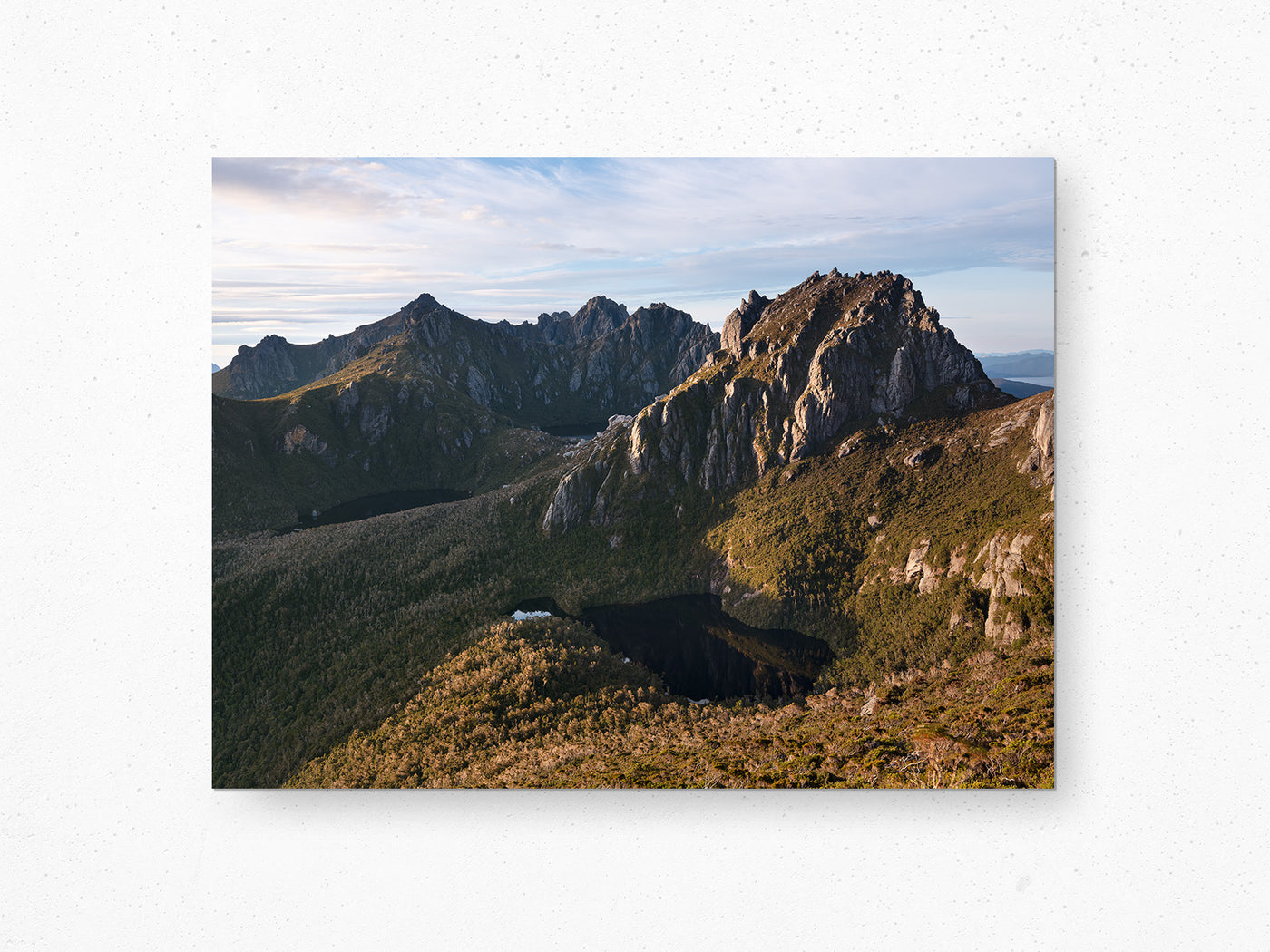 Uncultivated Golden Light,  Mt Capricorn, Tasmania. Wall Art