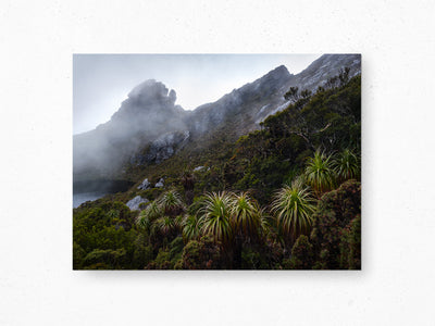 Pandani Guidance, Tasmania. Wall Art