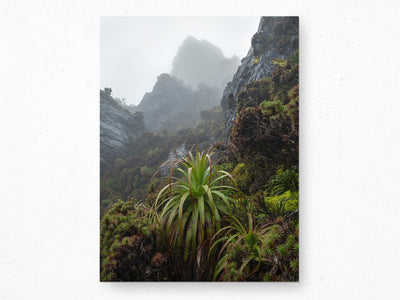 Prehistoric Ecosystem, Tasmania. Wall Art