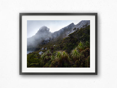 Pandani Guidance, Tasmania. Wall Art