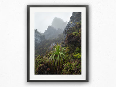 Prehistoric Ecosystem, Tasmania. Wall Art