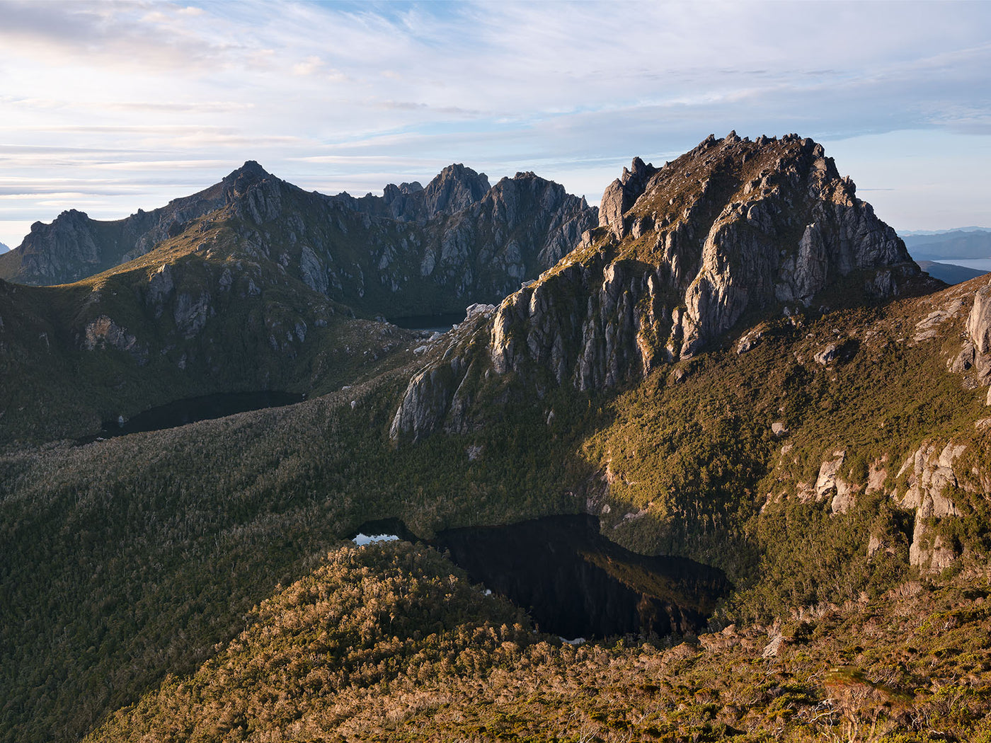 Uncultivated Golden Light,  Mt Capricorn, Tasmania. Wall Art