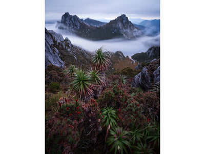 Jurassic, Lake Oberon, Tasmania. Wall Art