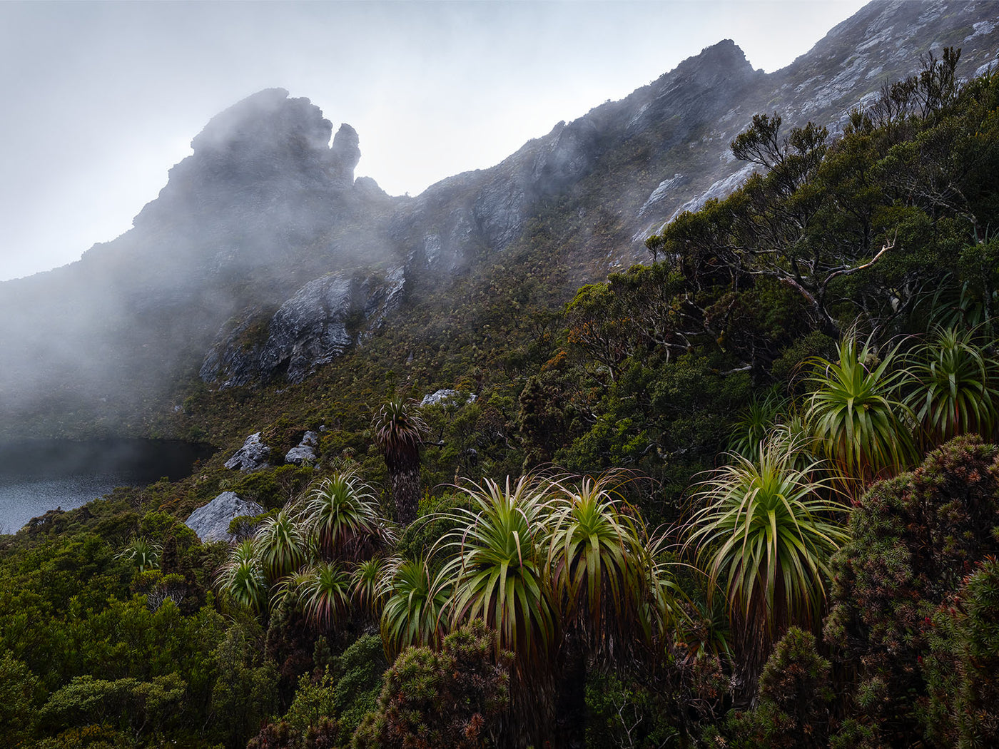 Pandani Guidance, Tasmania. Wall Art