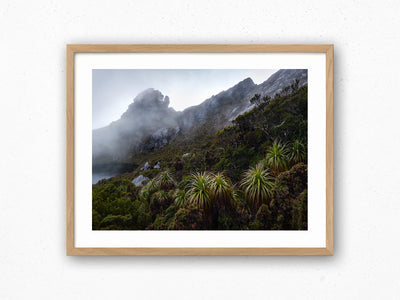 Pandani Guidance, Tasmania. Wall Art