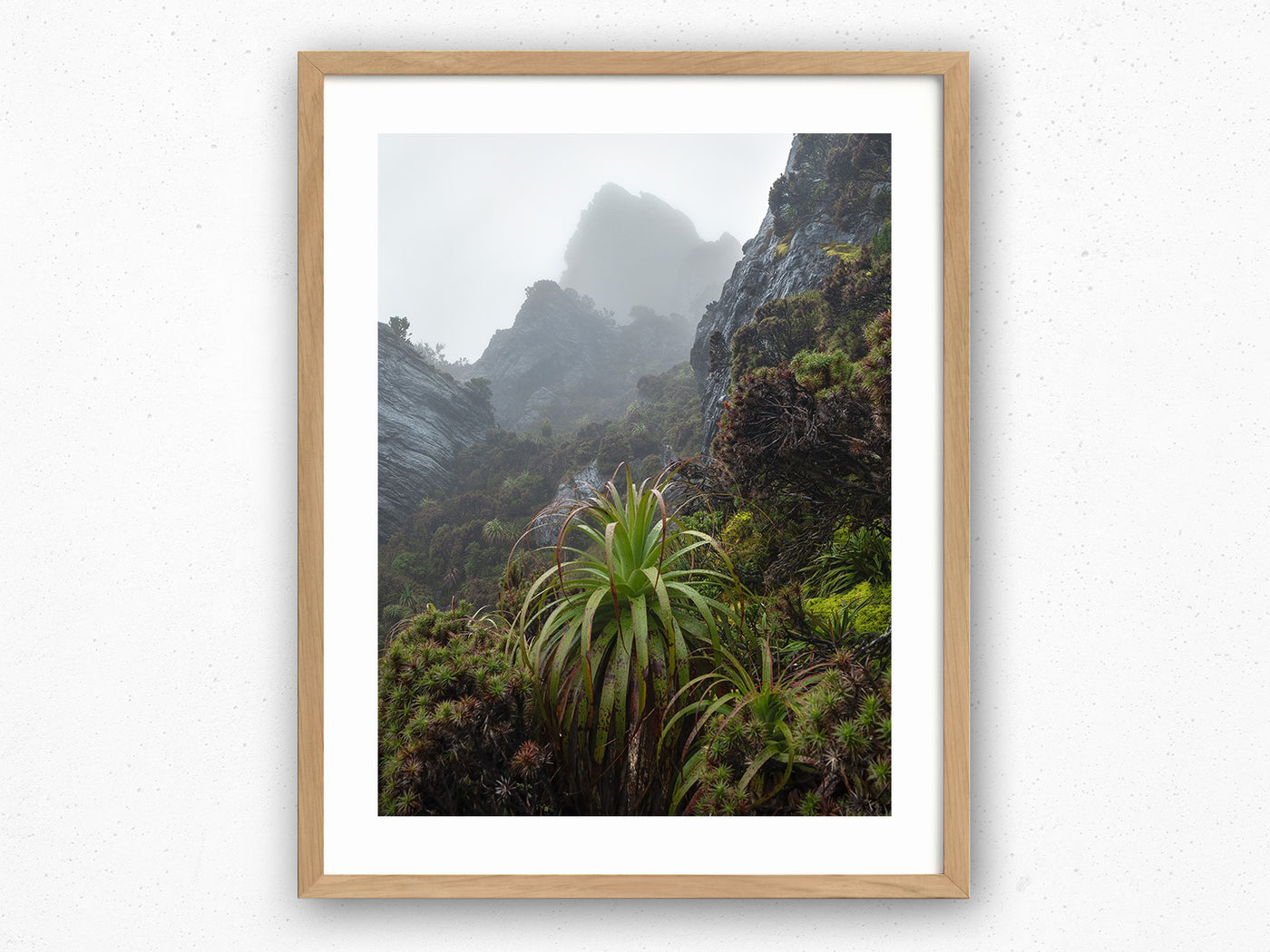 Prehistoric Ecosystem, Tasmania. Wall Art