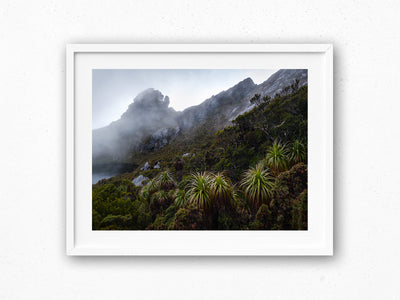 Pandani Guidance, Tasmania. Wall Art